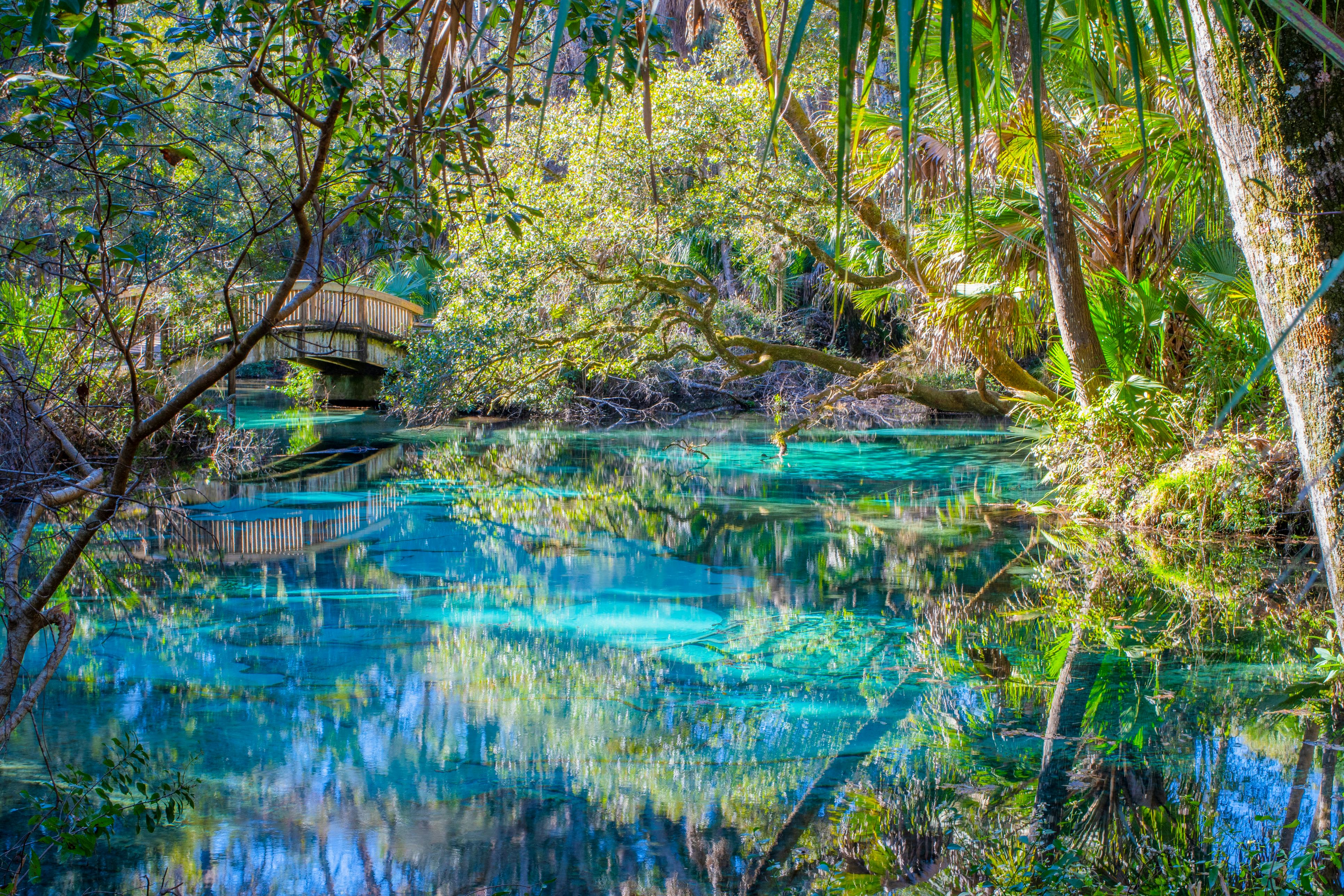 Juniper Springs in the Ocala National Forest